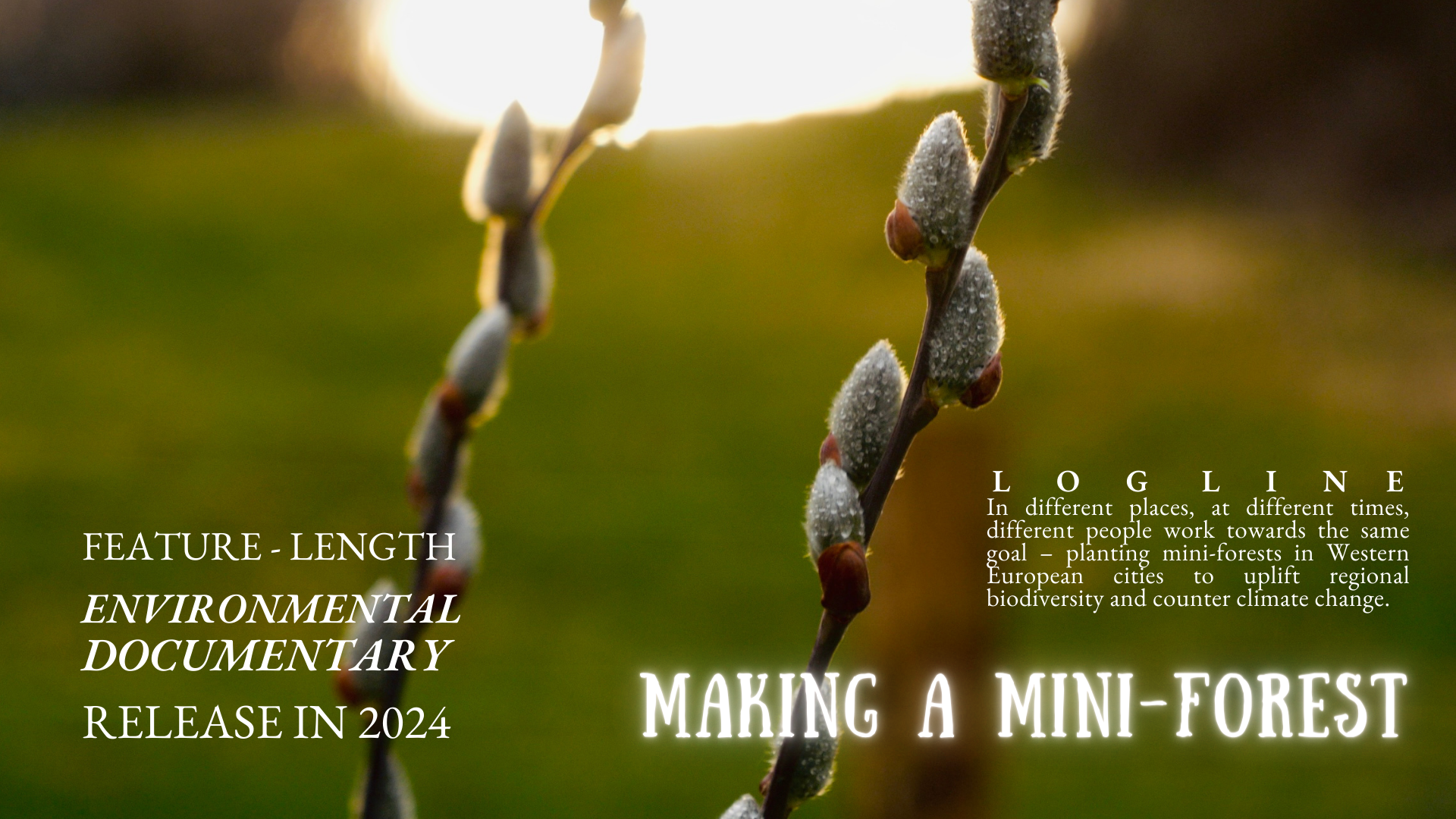 Making a Mini-Forest